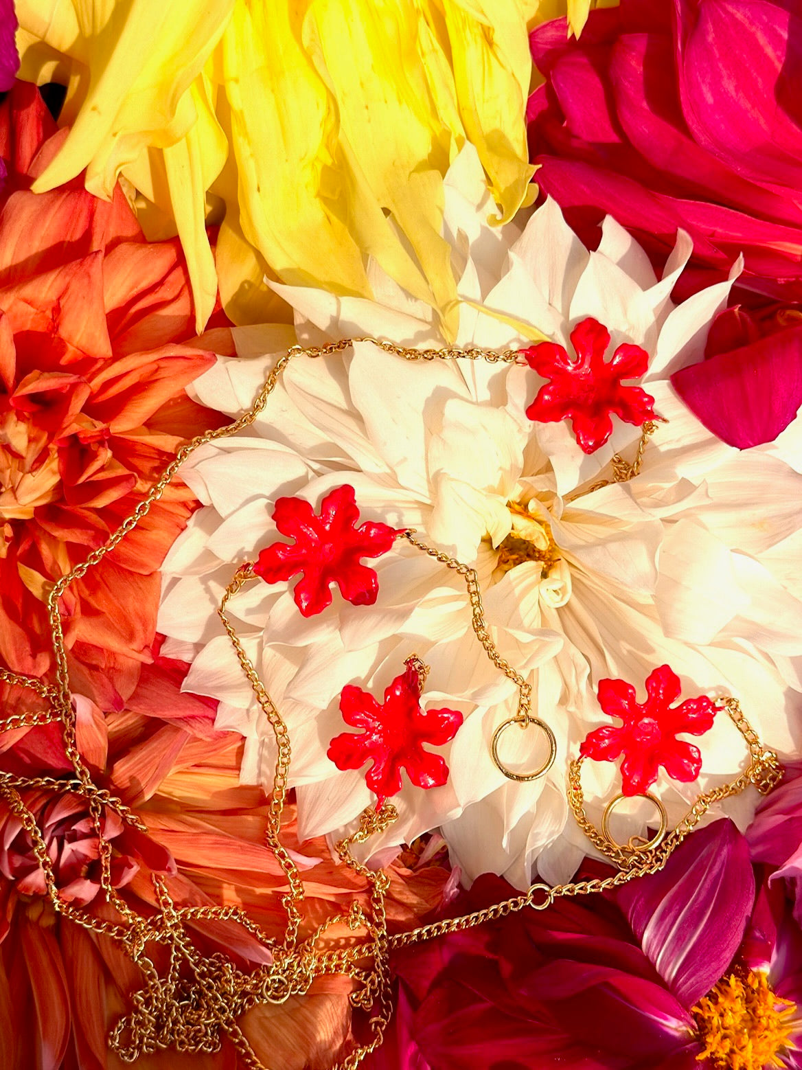 The Coral Bloom Eyewear Chain