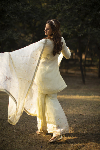 Powder yellow multicolored sequines suit with garara and kiran organza dupatta