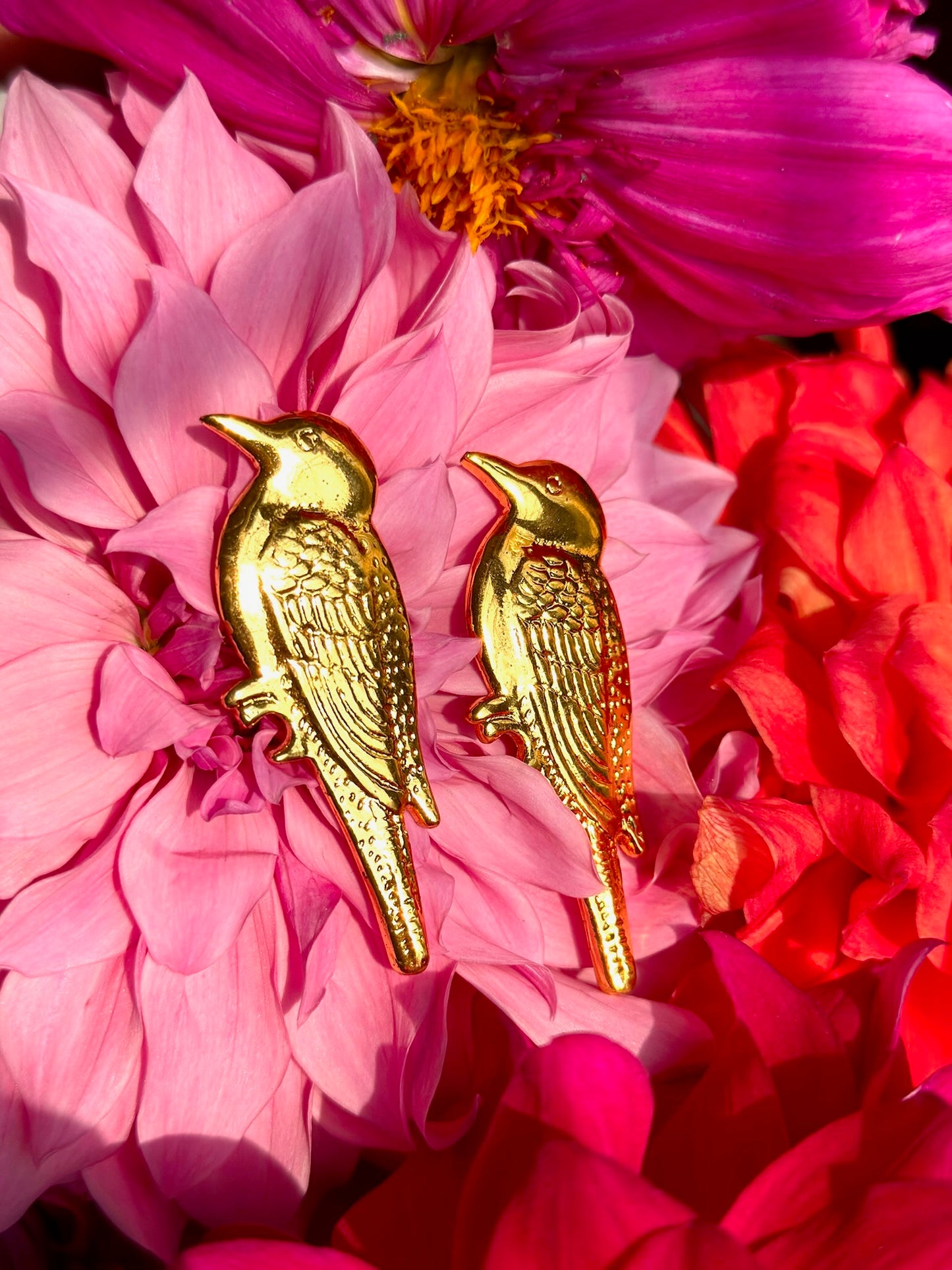 Sparrow Eyewear  Accessory