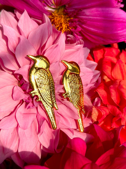 Sparrow Eyewear  Accessory