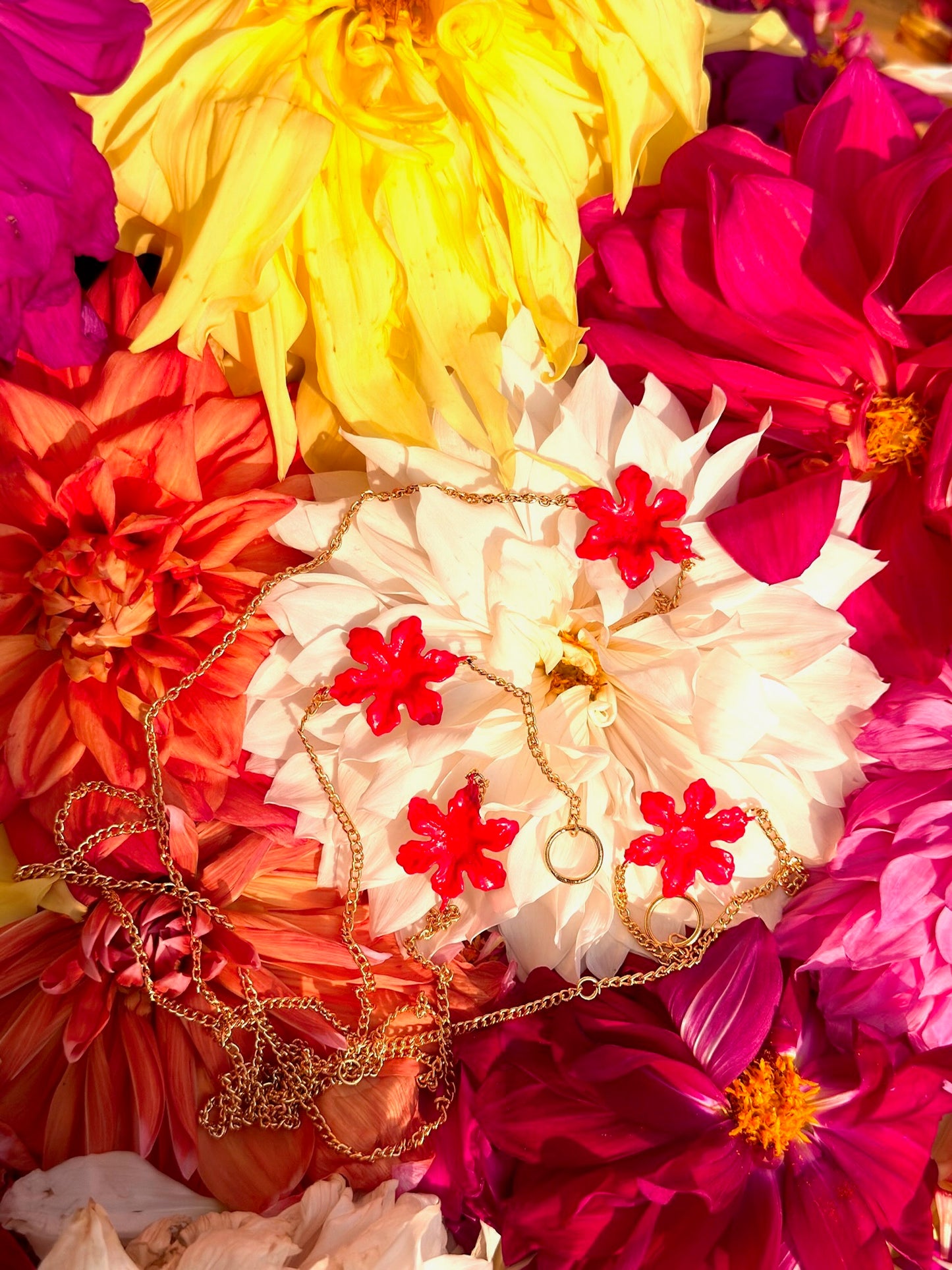 The Coral Bloom Eyewear Chain