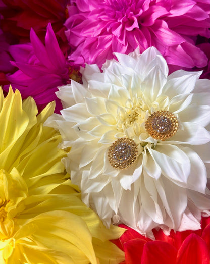 Sunflower Burst Sunglass Stem Accessories