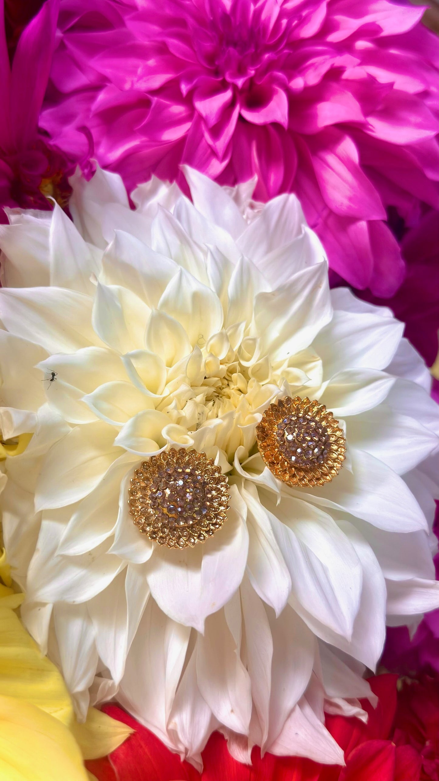 Sunflower Burst Sunglass Stem Accessories