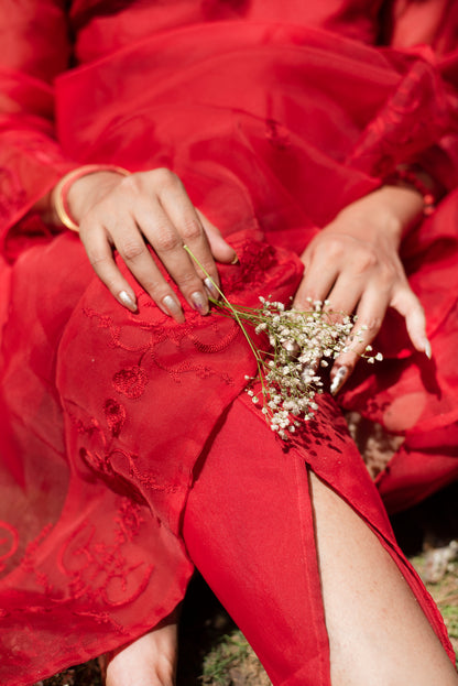 Red Gulaab Rani Suit - 3 Day Delivery
