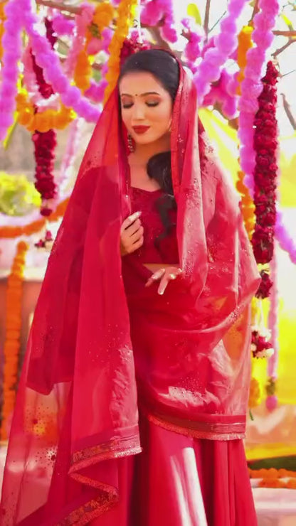 Shaam-e-dilli lehenga