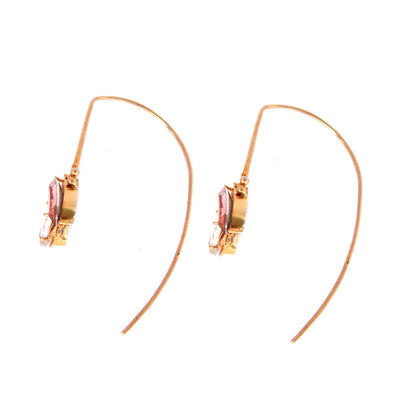 Inflorescence Flower Vine Peach Half Hoops